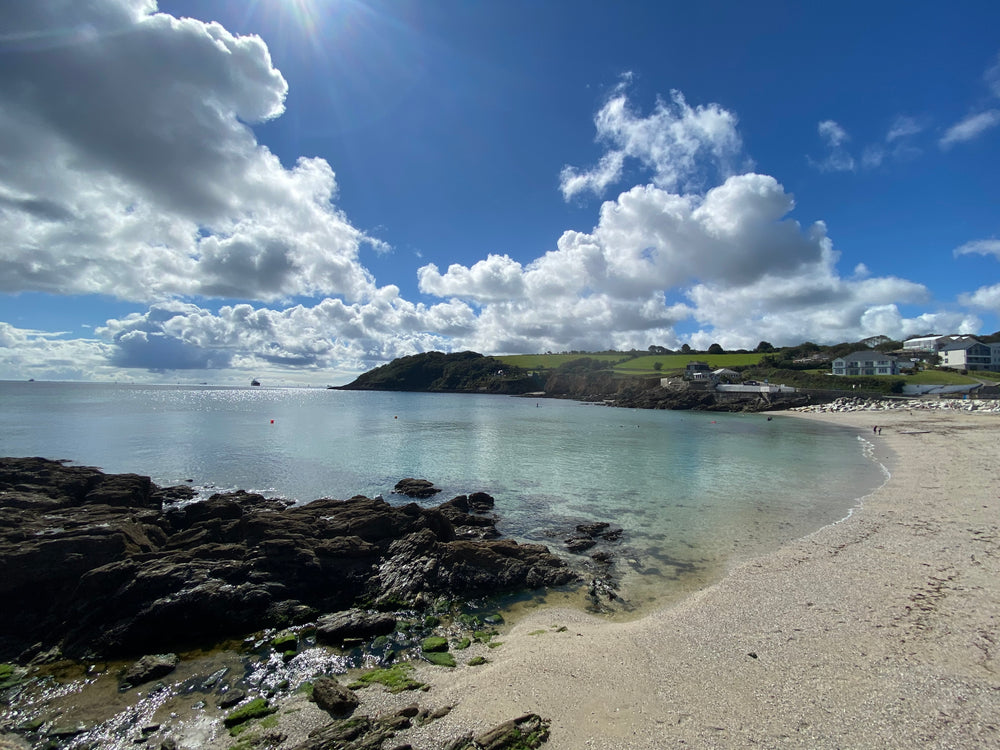 Journal 21 - Mosevic goes to...Falmouth