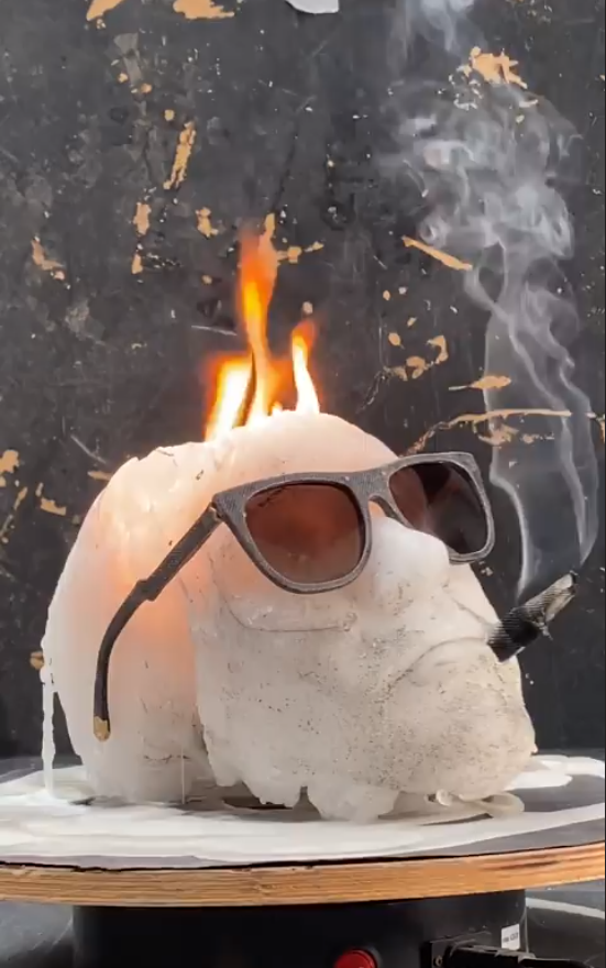 Journal 1: Experiment Candlehead