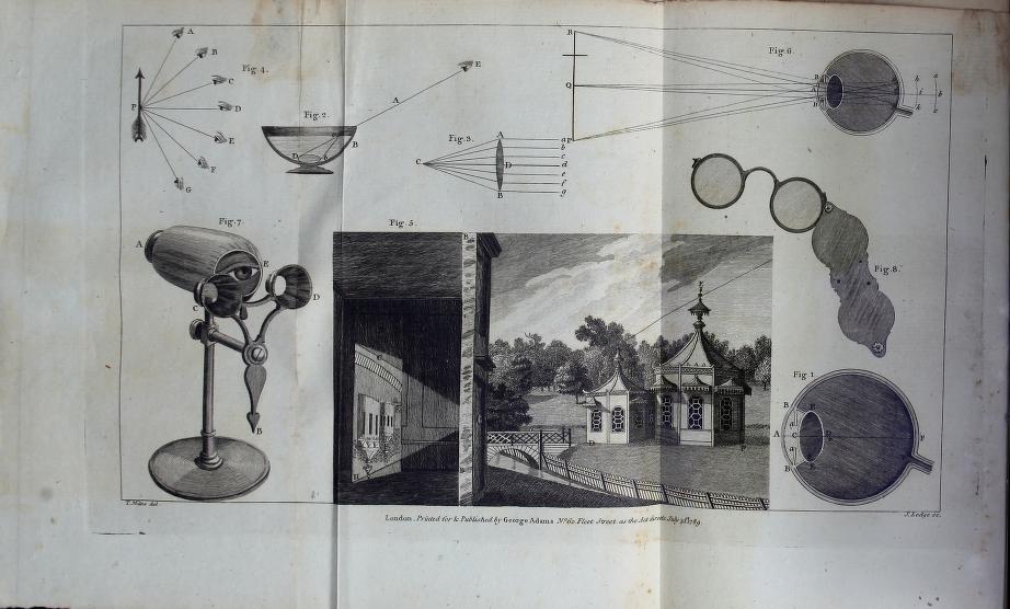 Journal 15: A Look at the Lorgnette