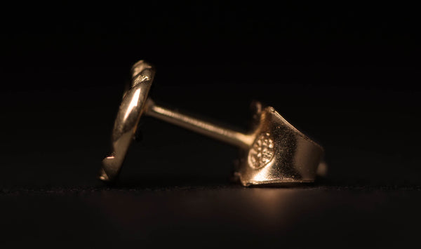 GOLDEN RECORD EARRING